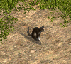 00033148.gif