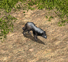 00033130.gif