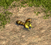 00033144.gif