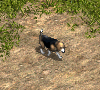 00033154.gif