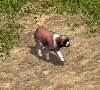 00033146.gif