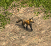 00033152.gif