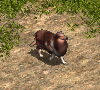 00033132.gif