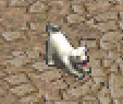 TWClient.bin_7sh8cNcf44.png