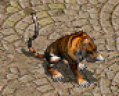 TWClient.bin_QvNgb4NNW1.png