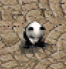 TWClient.bin_kuArYVFTBN.png